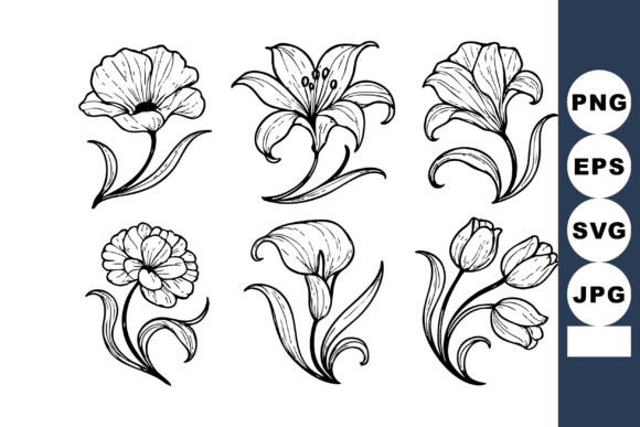 Hand Drawn Floral Vector Set with Six Di Graphics and Illustrations